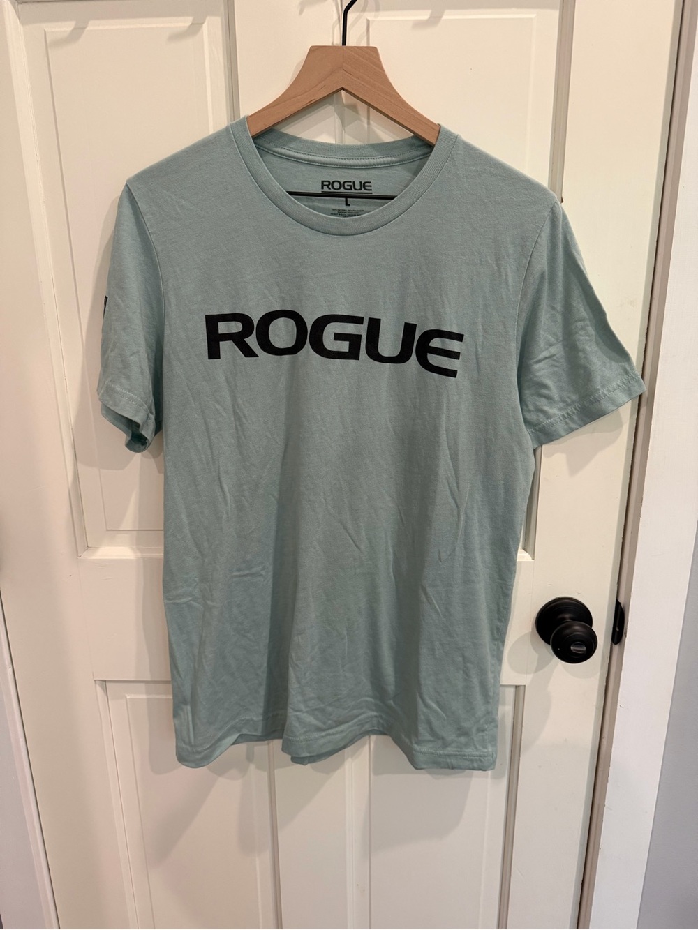 Rogue Men’s Short Sleeve Tee in Sage Green with Black Logo